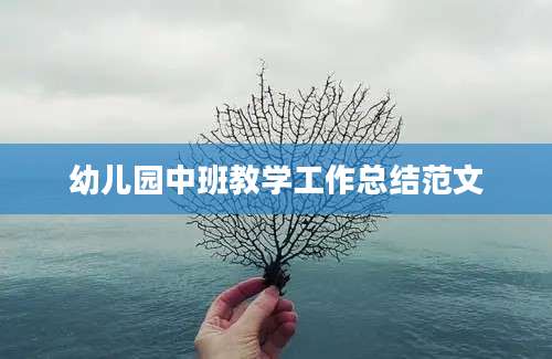 幼儿园中班教学工作总结范文
