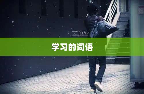 学习的词语