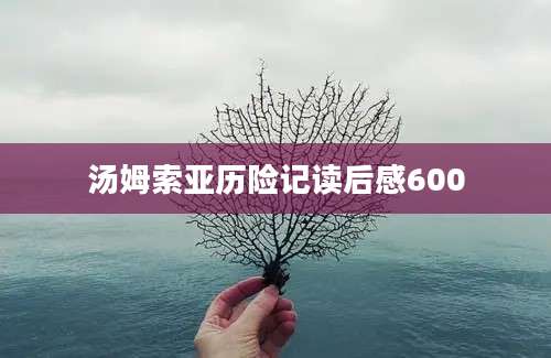 汤姆索亚历险记读后感600