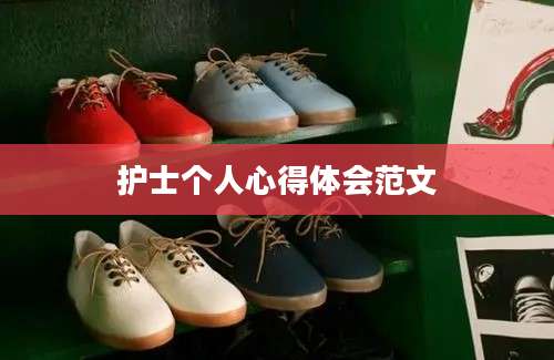 护士个人心得体会范文