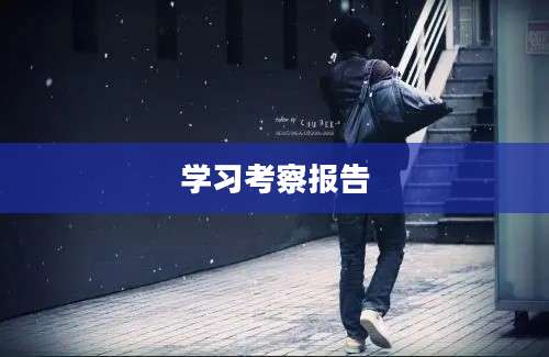 学习考察报告