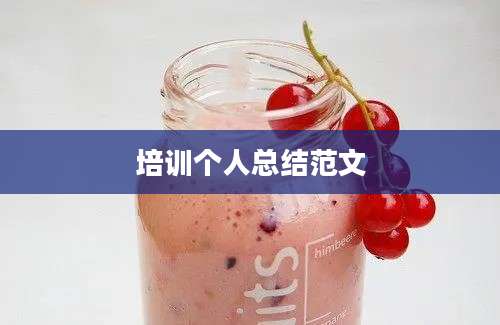 培训个人总结范文