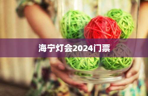 海宁灯会2024门票