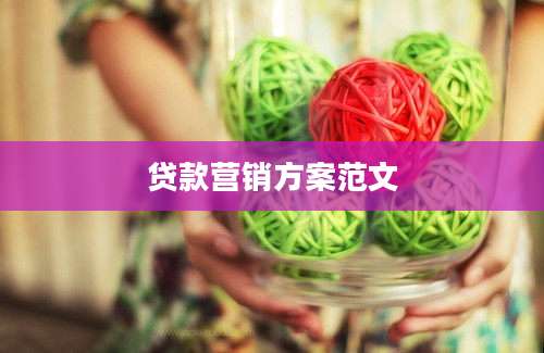 贷款营销方案范文