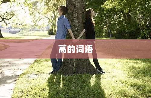 高的词语