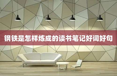 钢铁是怎样炼成的读书笔记好词好句