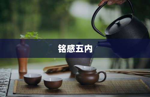 铭感五内