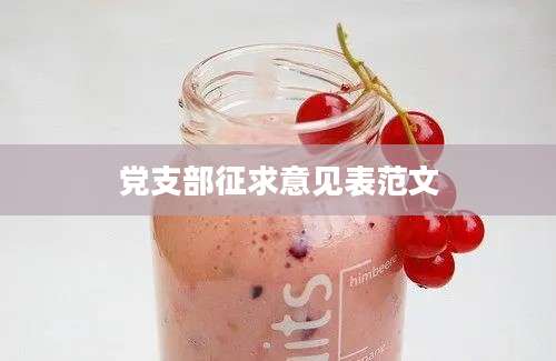 党支部征求意见表范文