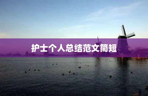 护士个人总结范文简短