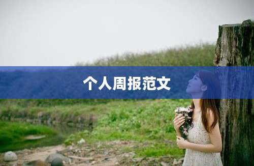 个人周报范文