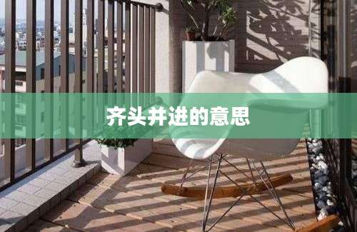 齐头并进的意思
