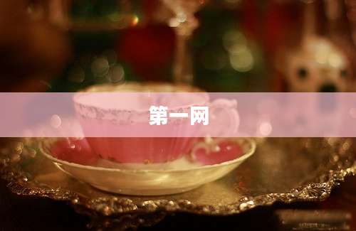 第一网
