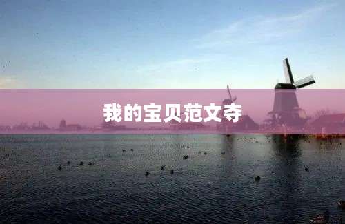 我的宝贝范文夺