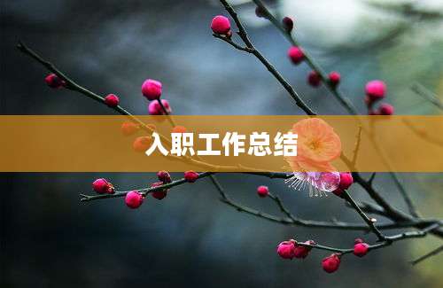 入职工作总结
