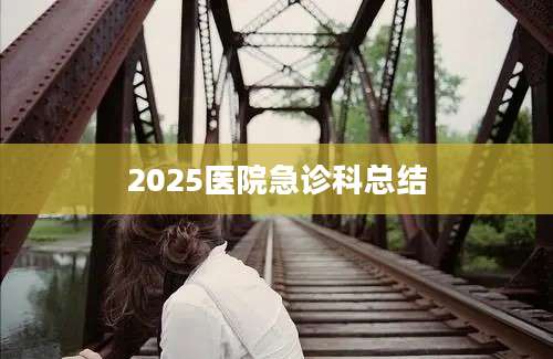2025医院急诊科总结