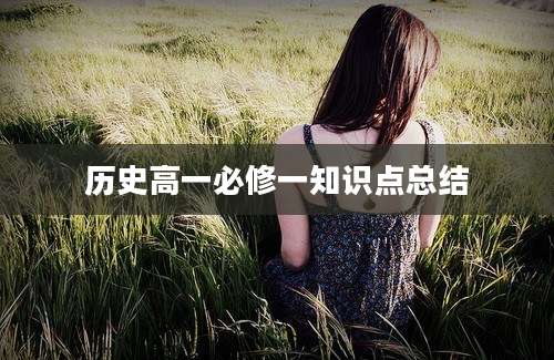 历史高一必修一知识点总结