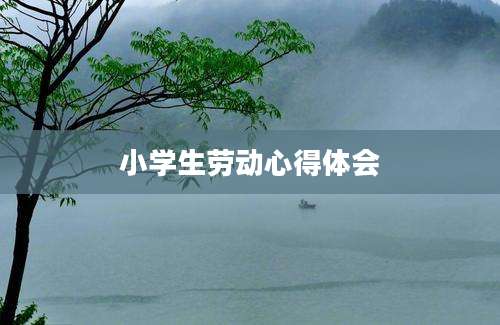 小学生劳动心得体会