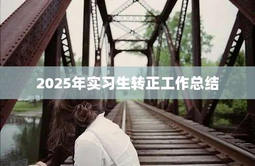 2025年实习生转正工作总结