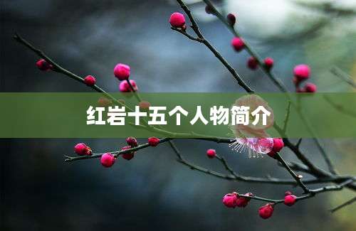 红岩十五个人物简介