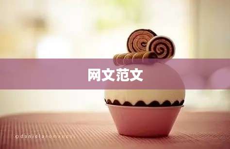 网文范文