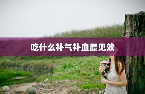 吃什么补气补血最见效