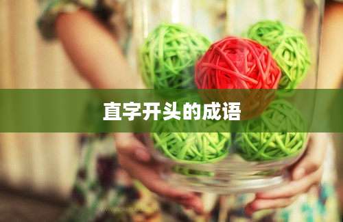 直字开头的成语