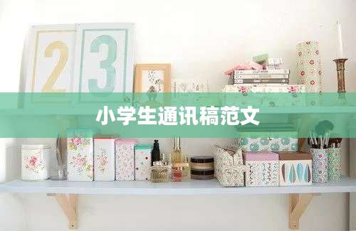 小学生通讯稿范文
