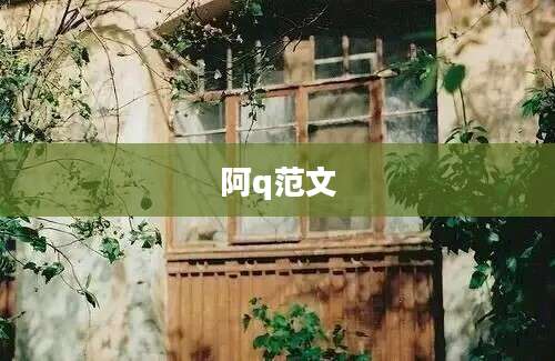 阿q范文