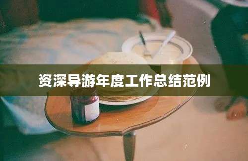 资深导游年度工作总结范例