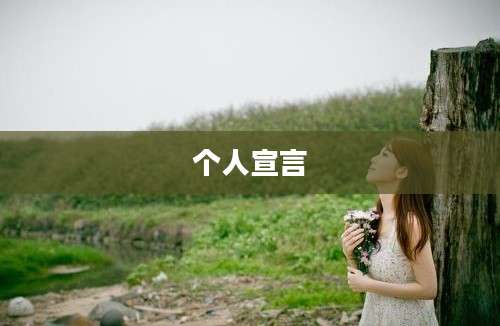 个人宣言