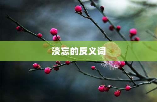 淡忘的反义词
