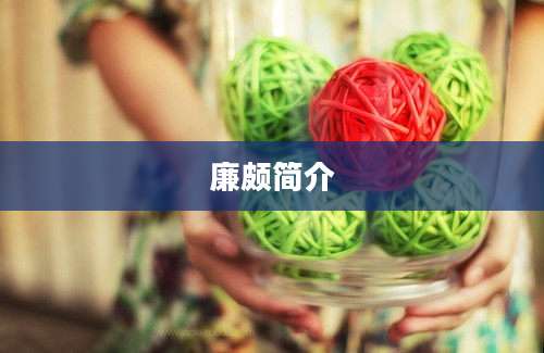 廉颇简介