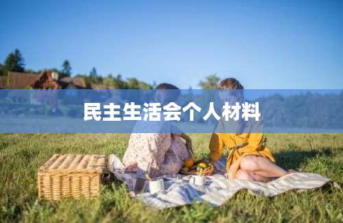民主生活会个人材料