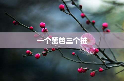 一个篱笆三个桩