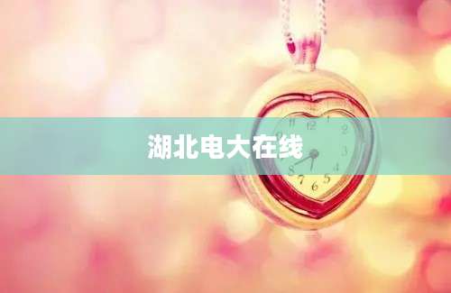湖北电大在线