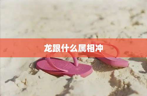龙跟什么属相冲