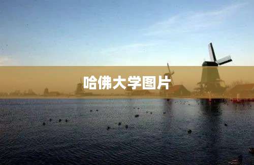 哈佛大学图片
