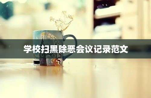 学校扫黑除恶会议记录范文