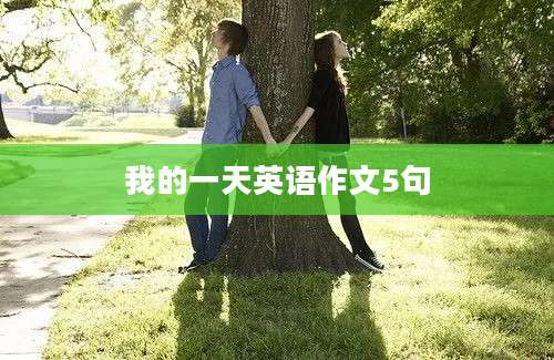 我的一天英语作文5句