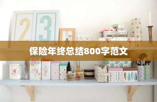保险年终总结800字范文