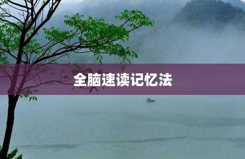 全脑速读记忆法