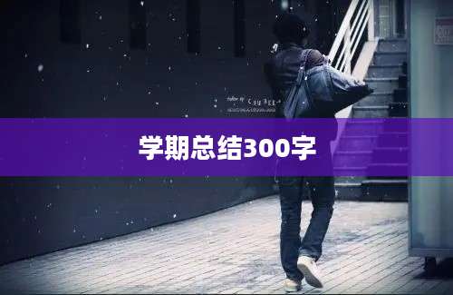 学期总结300字