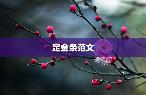 定金条范文