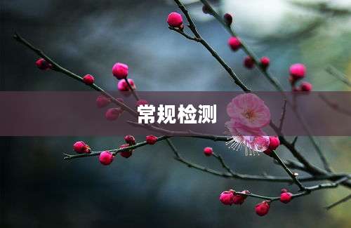常规检测