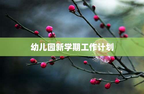 幼儿园新学期工作计划