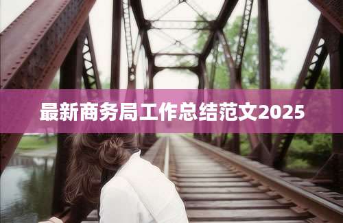 最新商务局工作总结范文2025