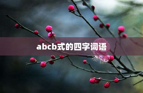 abcb式的四字词语