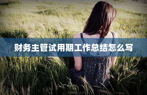 财务主管试用期工作总结怎么写