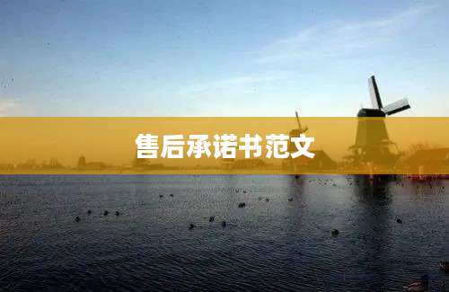 售后承诺书范文