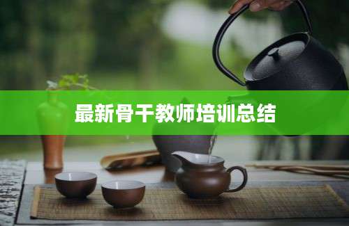 最新骨干教师培训总结
